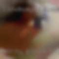Horny girls Rogersville