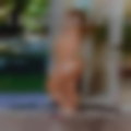 Horny housewives Southwest