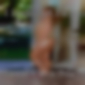 Texarkana horny housewife